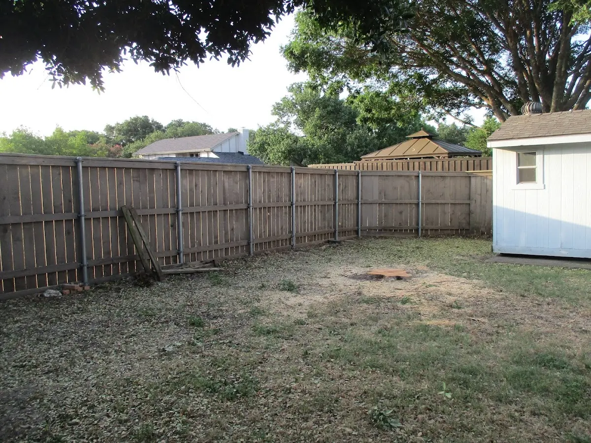 Cleared yard after professional tree removal in Harrisburg